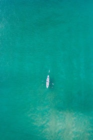 中超 上海海港vs山东
