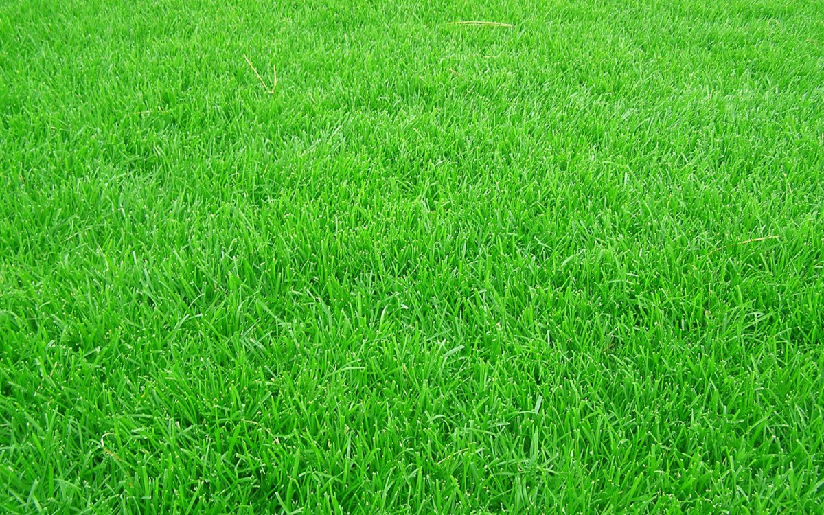欧冠 皇马vs曼城 直播